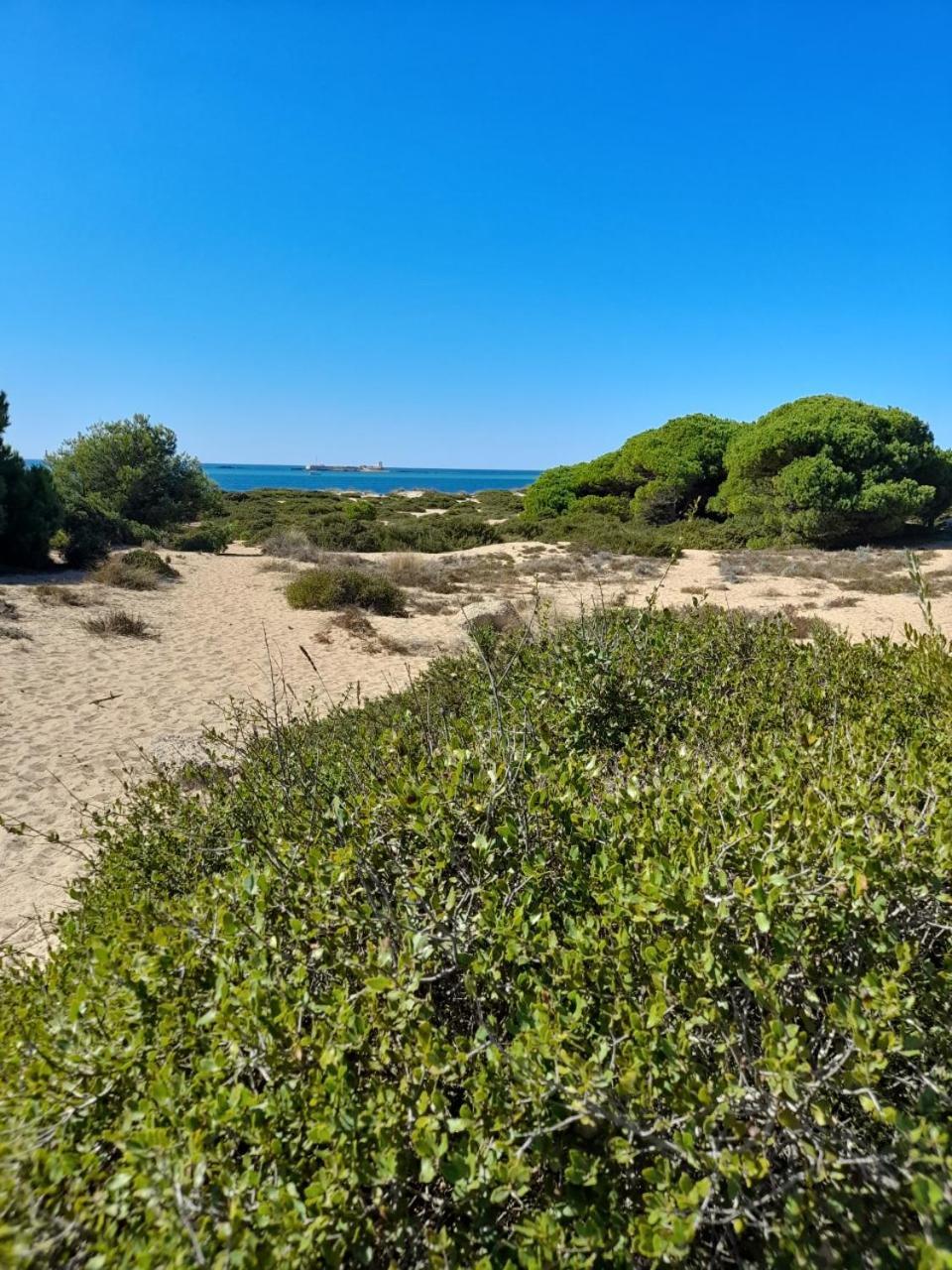 Apartamento Playa La Barrosa Chiclana de la Frontera Extérieur photo