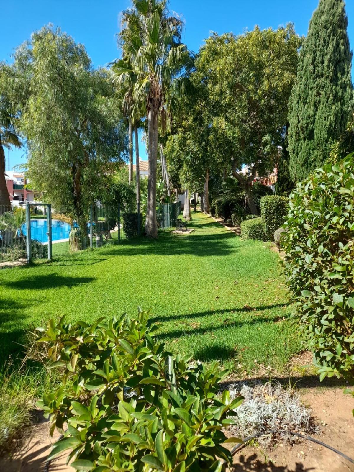 Apartamento Playa La Barrosa Chiclana de la Frontera Extérieur photo
